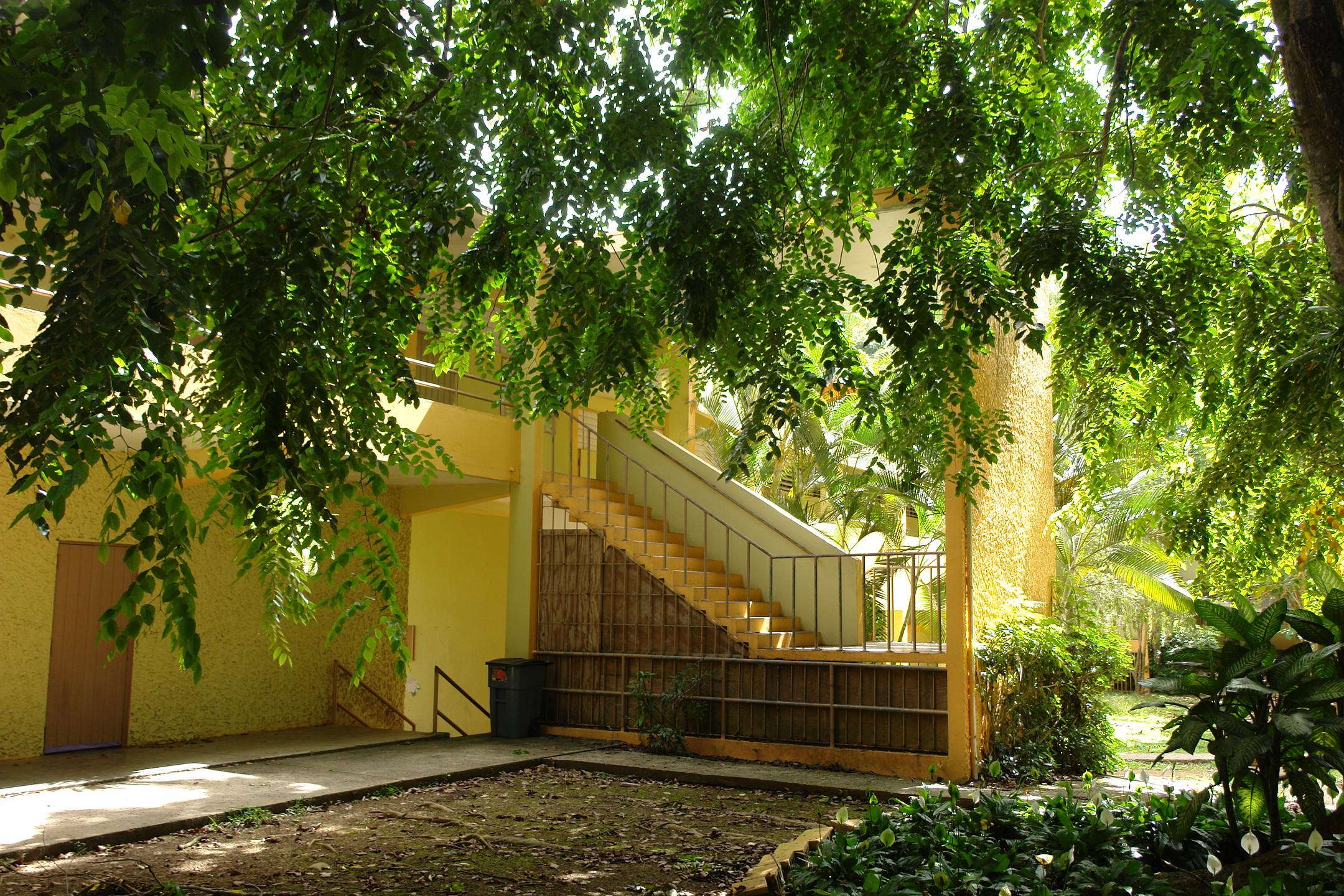 FDII - Aibonito - 2010 00016